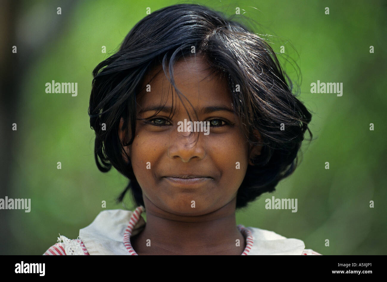 Sri Lanka Woman Colombo Stock Photos & Sri Lanka Woman 