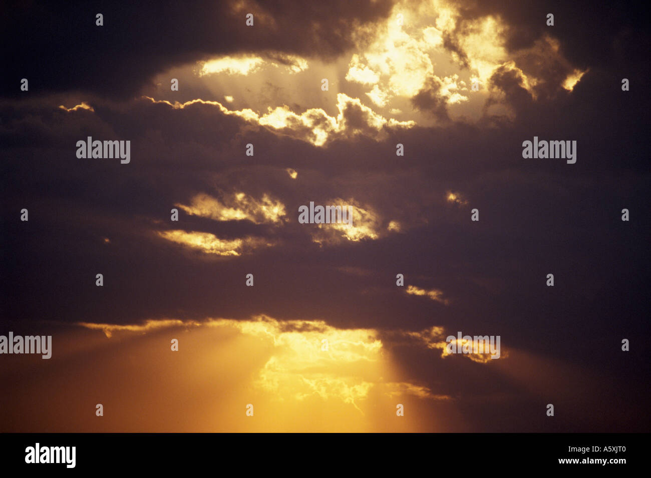 Yellow rays hi-res stock photography and images - Alamy