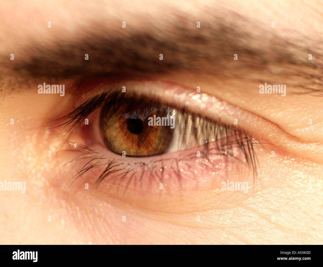 Human Females Eye, Close Up. Stock Photo