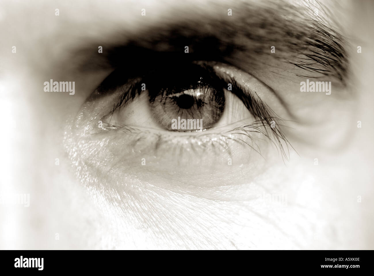 Human Females Eye, Close Up. Stock Photo
