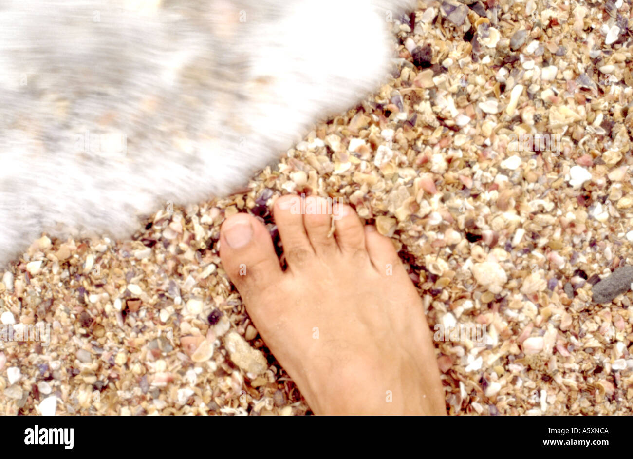 A FOOT ON A BEACH OF BROKEN SHELLS ABOUT TO BE WASHED OVER BY A WAVE ...