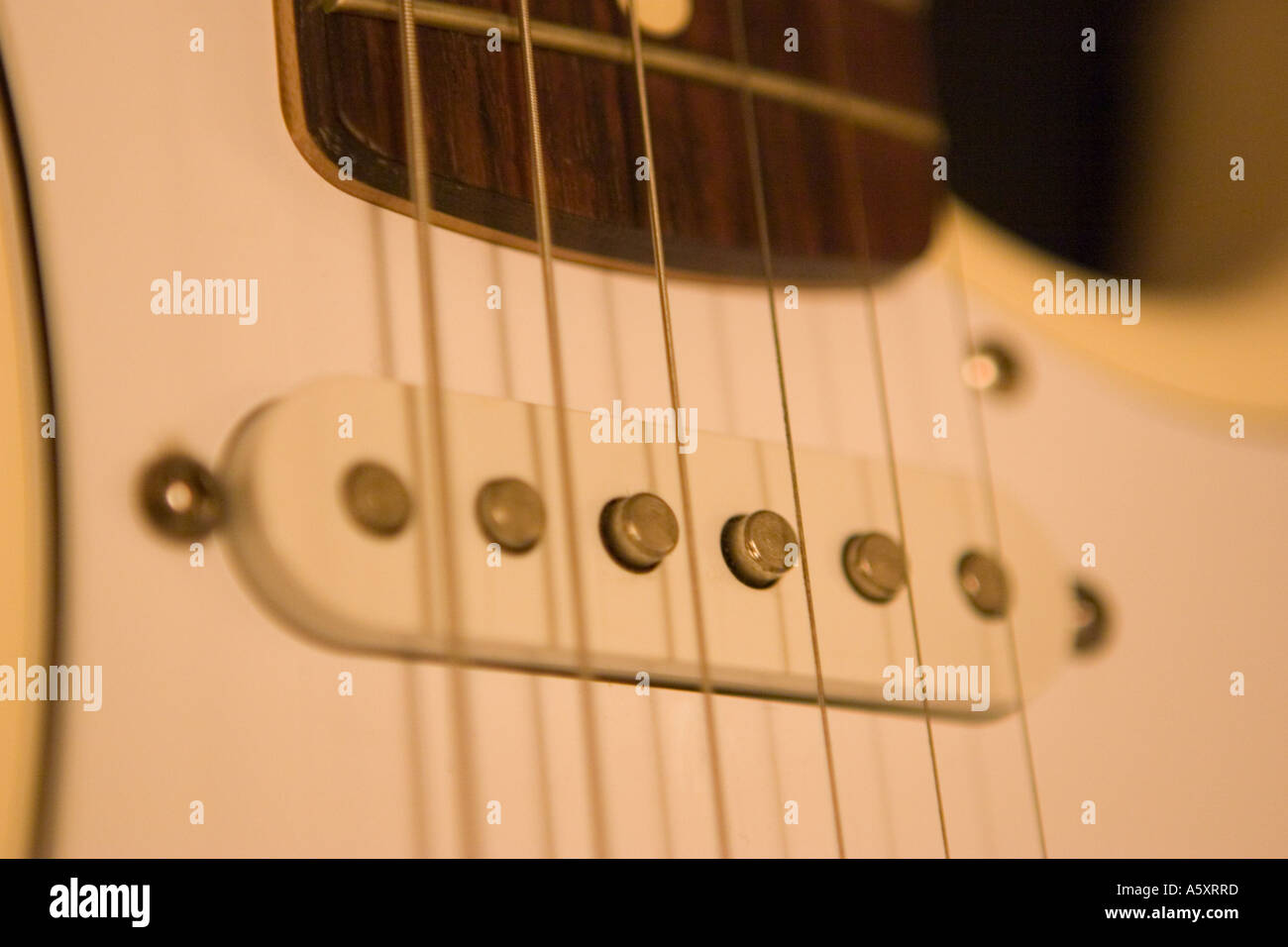 single coil guitar pickup Stock Photo Alamy
