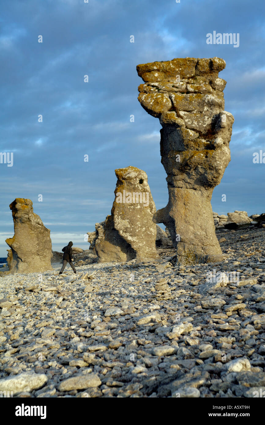 Rauk Stones a geological phenomenon. Limestone ground by sea and winds. Langhammars nature reserve on stark coast of Gotland Stock Photo