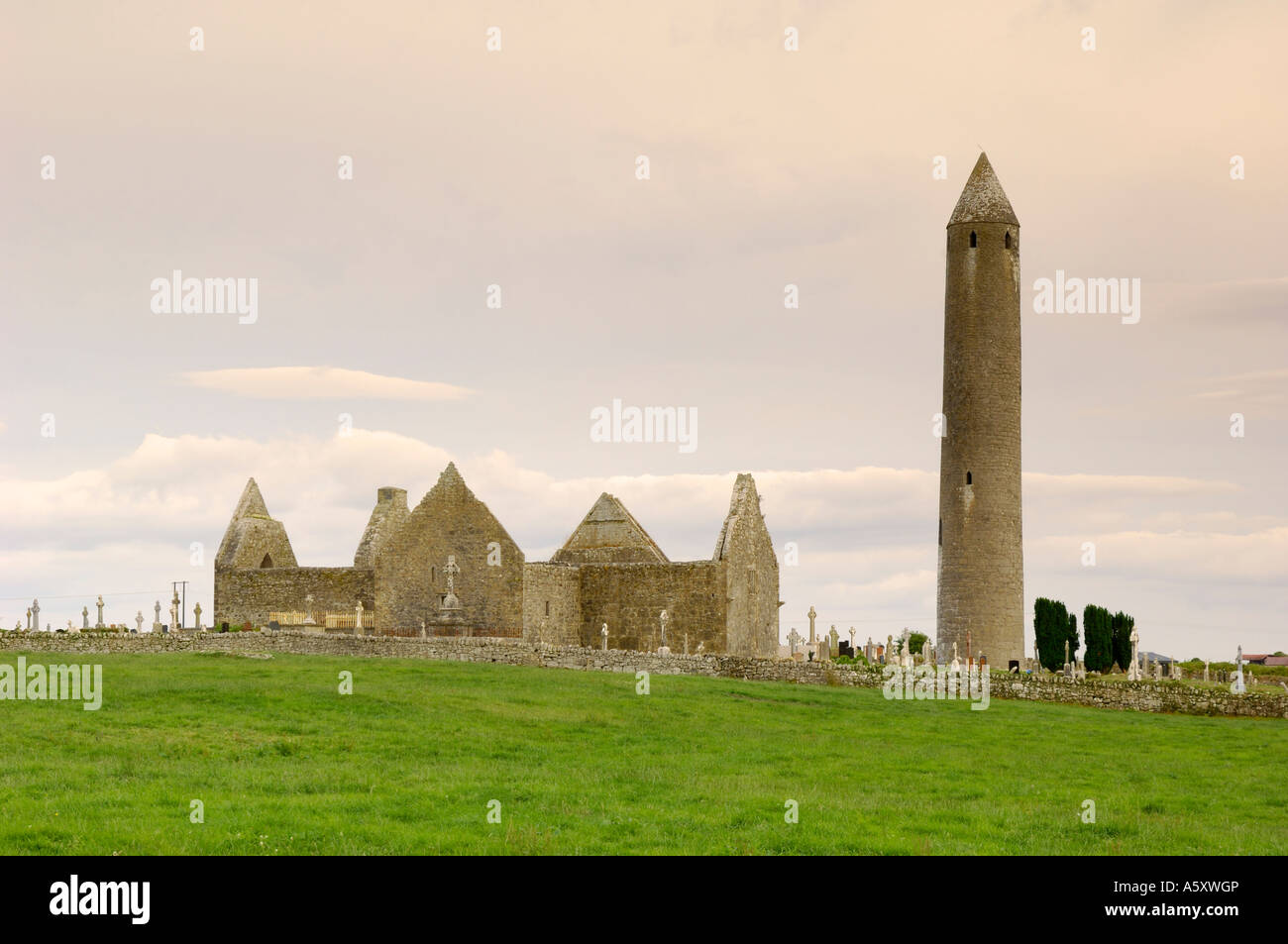 Kilmacdaugh Churches and Round Tower, near Gort, County Galway, Ireland Stock Photo