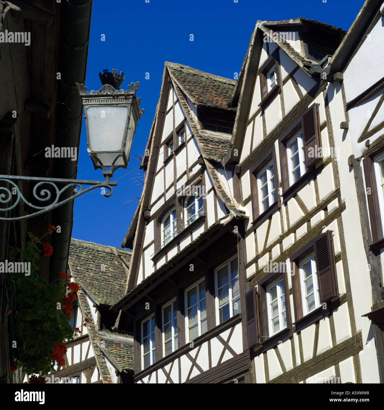 16th century renaissance half timbered houses hi-res stock photography ...