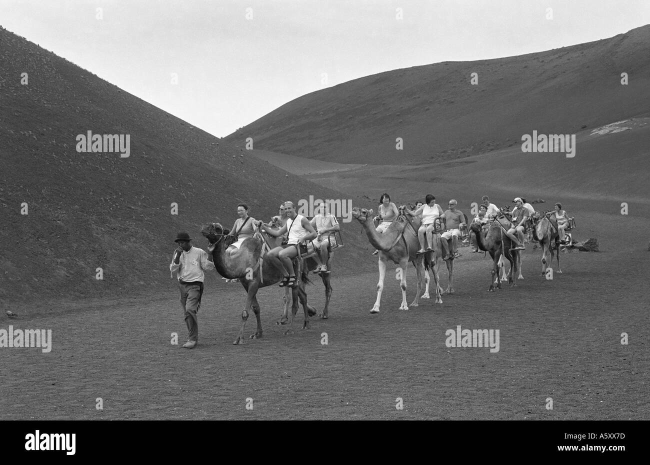 Camel ride and lanzarote Black and White Stock Photos & Images - Alamy