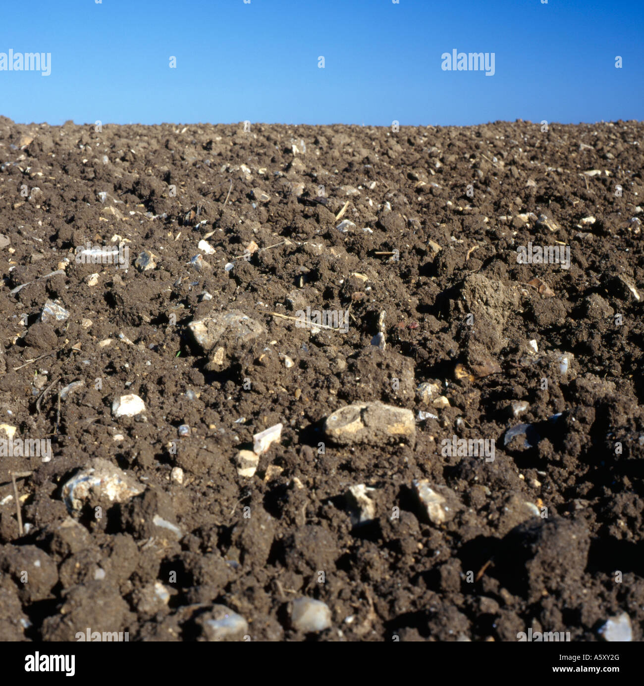 Ploughed field flinty Wold loam Yorkshire UK Stock Photo