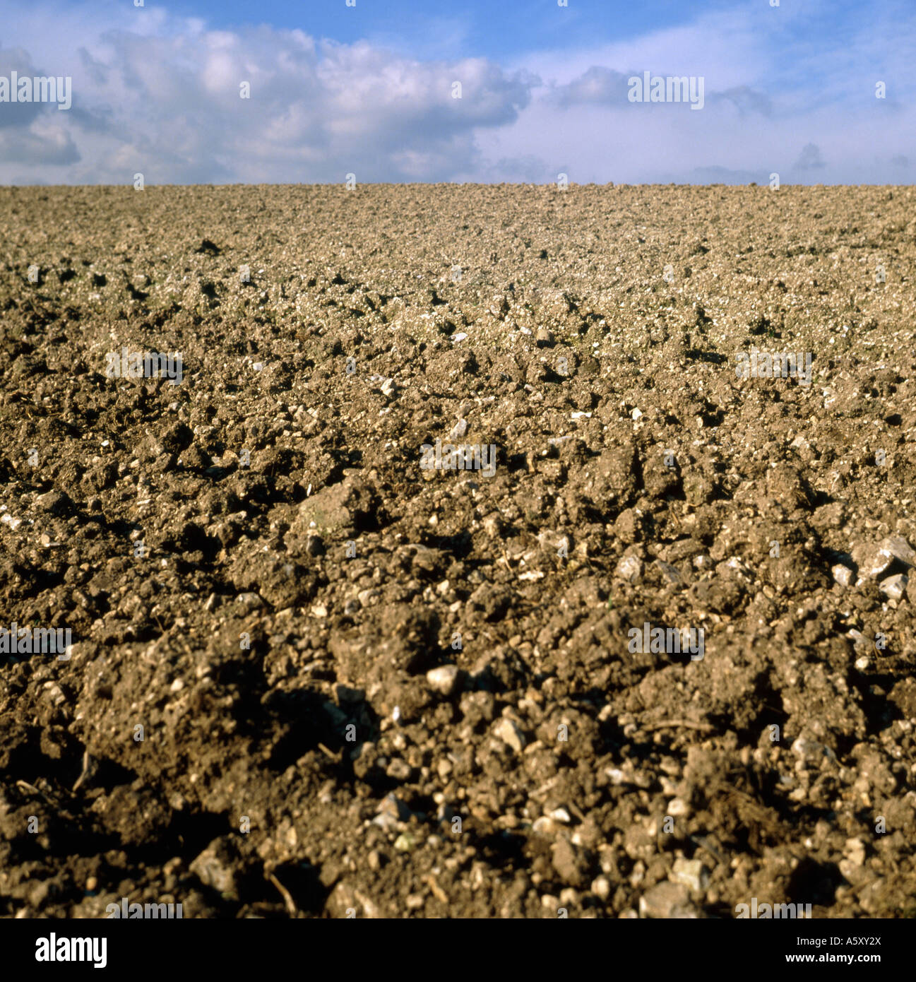 Ploughed field flinty Wold loam Yorkshire UK Stock Photo