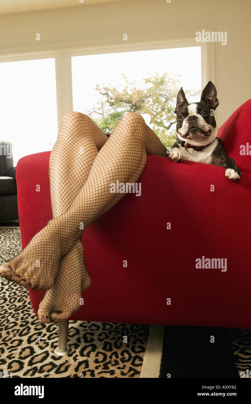 Woman lounging on sofa with Boston Terrier Stock Photo