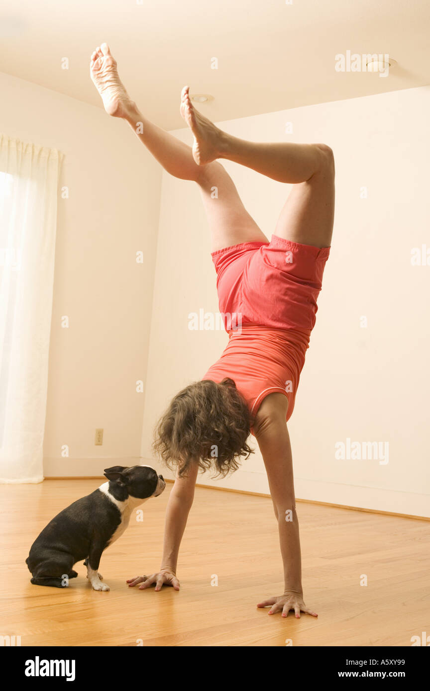 Boston Terrier watching girl do handstand Stock Photo
