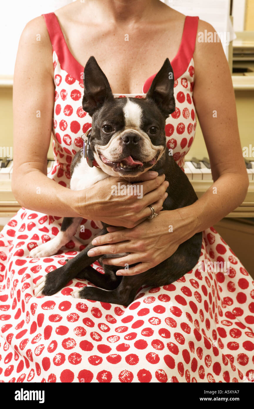 Woman holding Boston Terrier Stock Photo