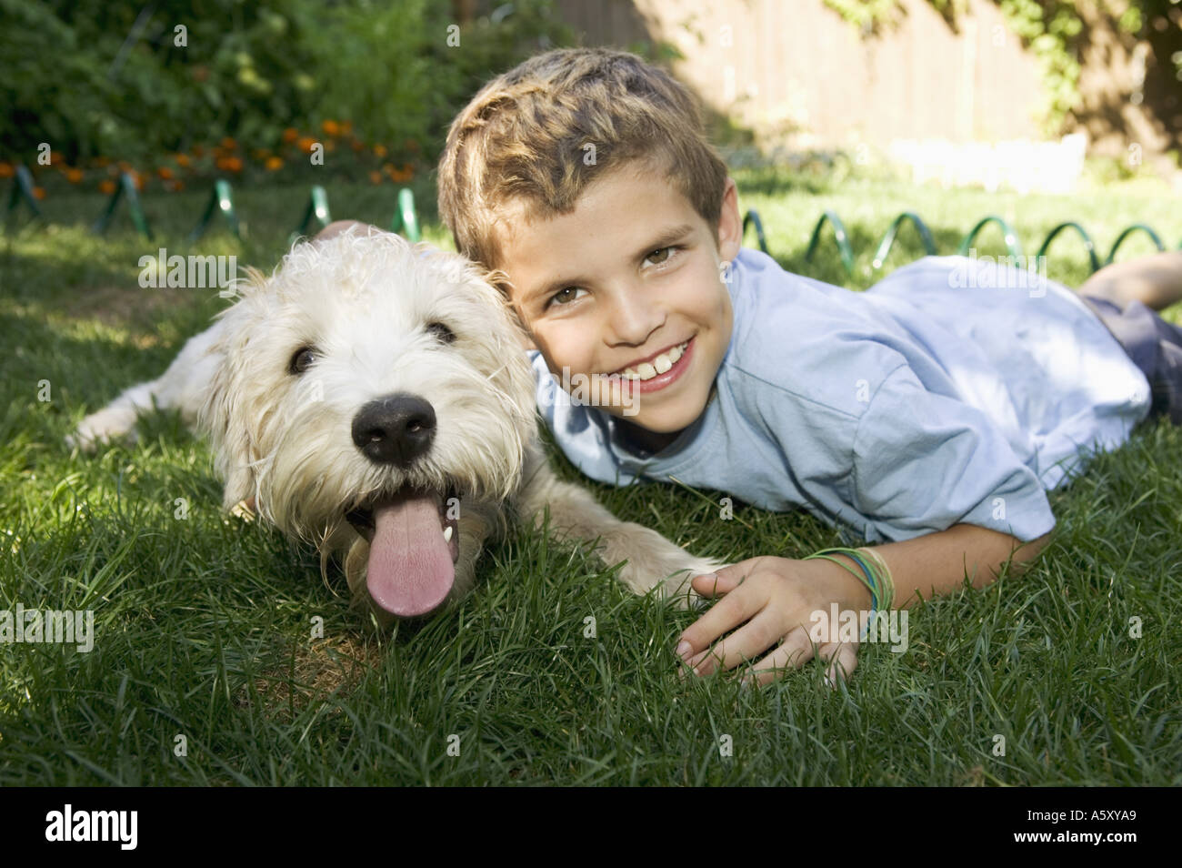 Boy and dog lying down together outdoors Stock Photo