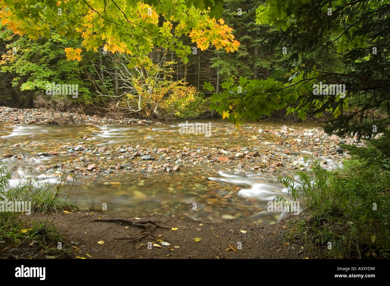 Lone Shieling Area Cape Breton Highlands National Park Stock Photo