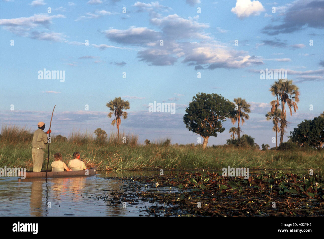 Moremi Game reserve Stock Photo Alamy