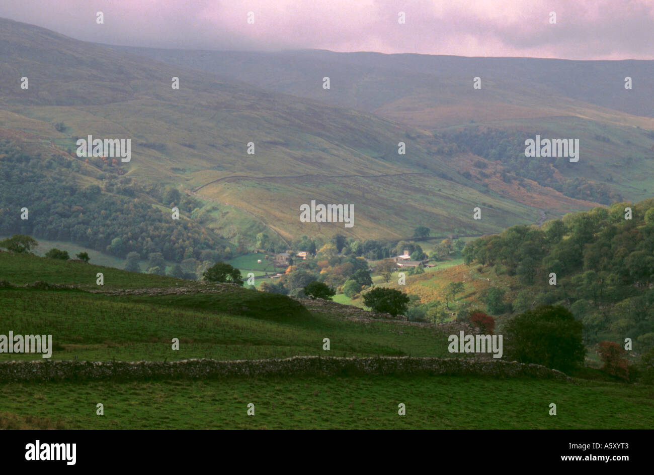 View down on to Hubberholme, upper Wharfedale, Yorkshire Dales National Park, North Yorkshire, England, UK. Stock Photo