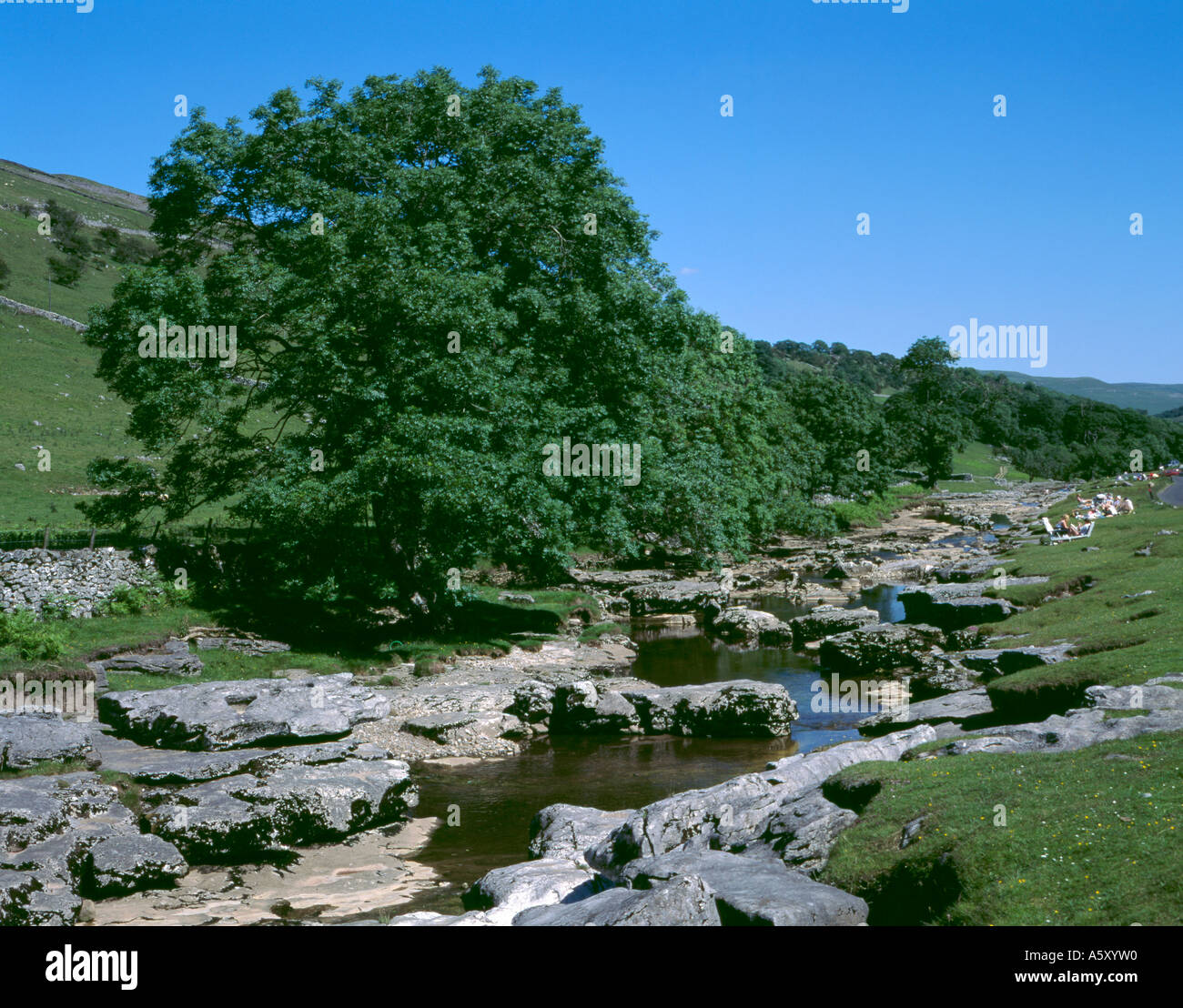 Eroded bed of River Wharfe in limestone rock, Langstrothdale, Yorkshire Dales National Park, North Yorkshire, England, UK. Stock Photo