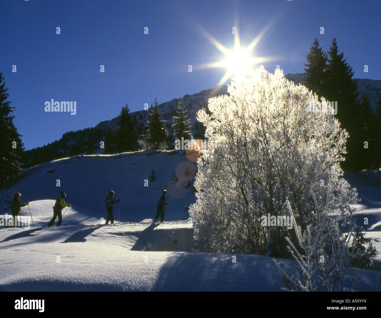 Cross country skiing in the Alps in Bavaria Germany Stock Photo