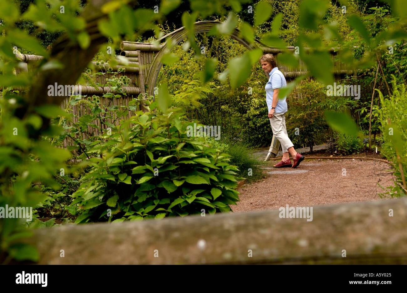 The University of Bristol Botanic Garden the New Chinese Medicinal Herb Garden England UK Stock