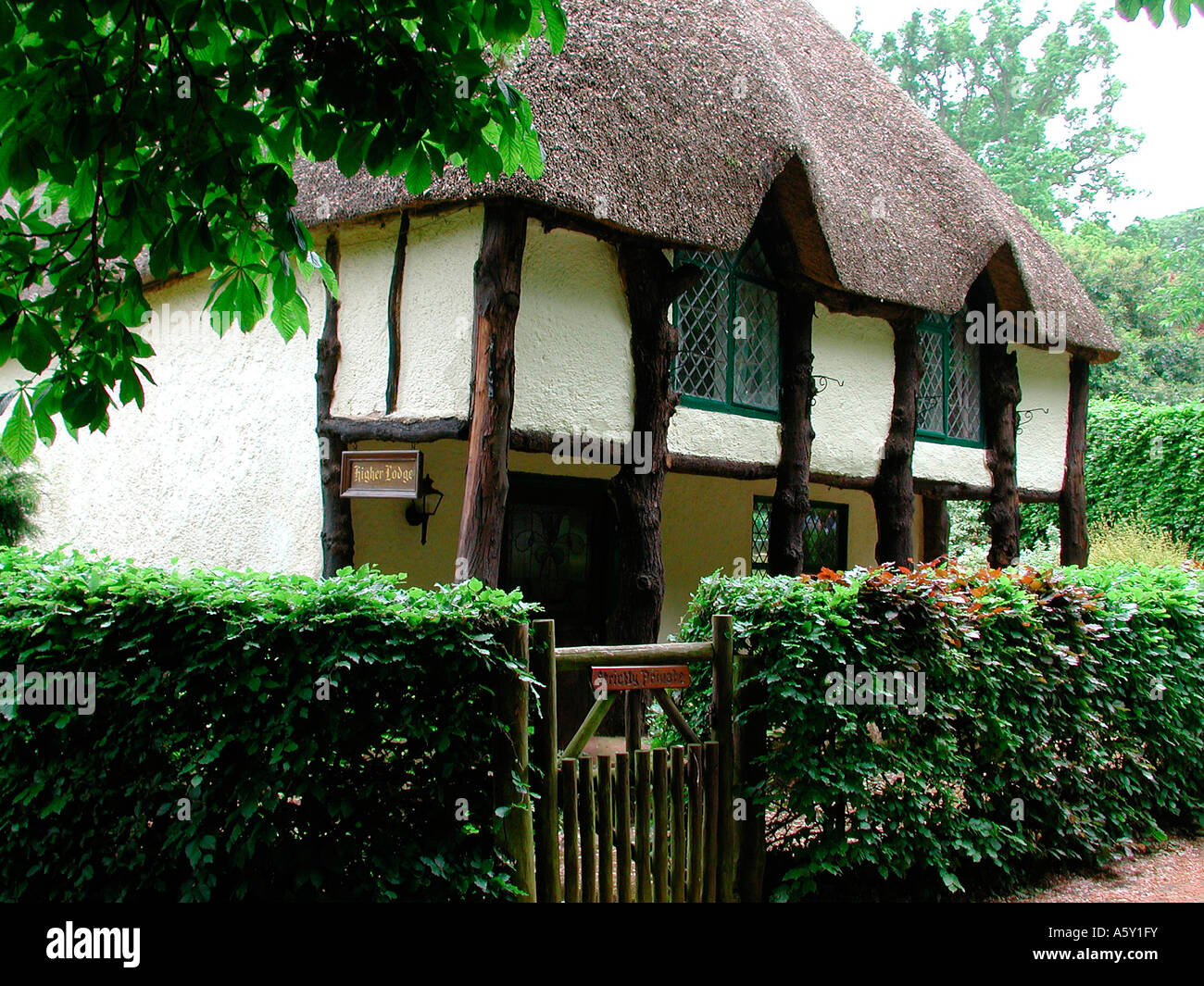 The old thatched cottage Stock Photo - Alamy