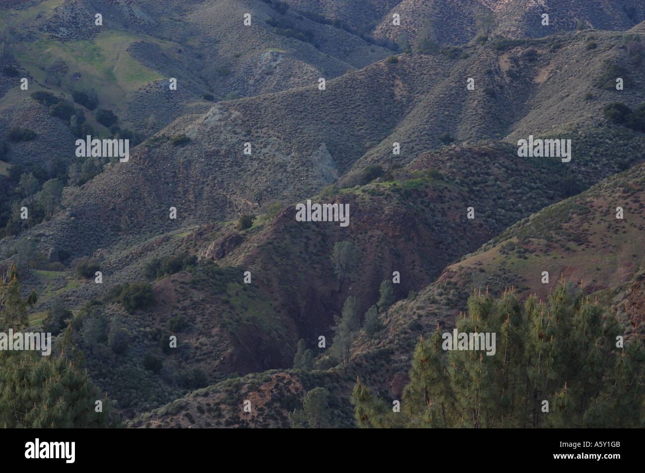 Los Padres National Forest Stock Photo Alamy