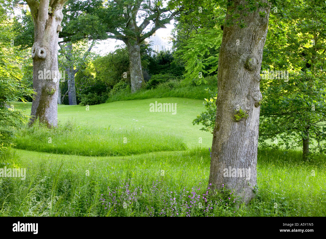 Summer morning in English country garden Stock Photo - Alamy