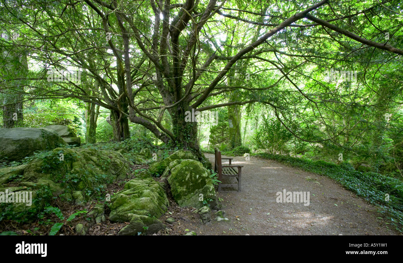 Arboretum Killarney National Park Ireland Stock Photos Arboretum