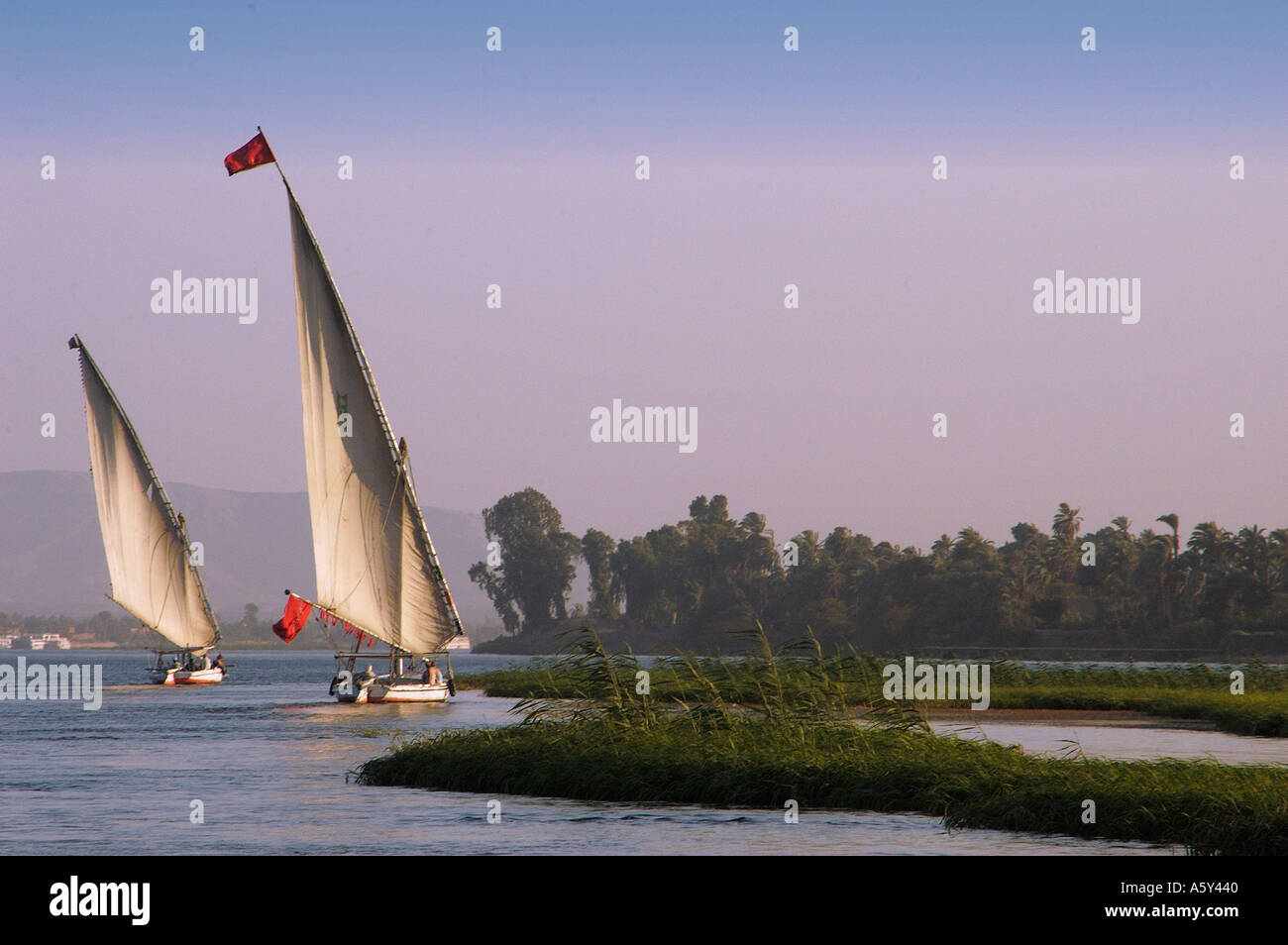 Egypt Felouka boats on the Nile river at Luxor Stock Photo