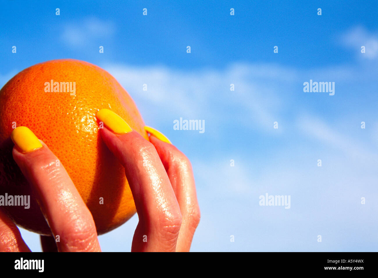 Female hand holding oranges hi-res stock photography and images - Alamy