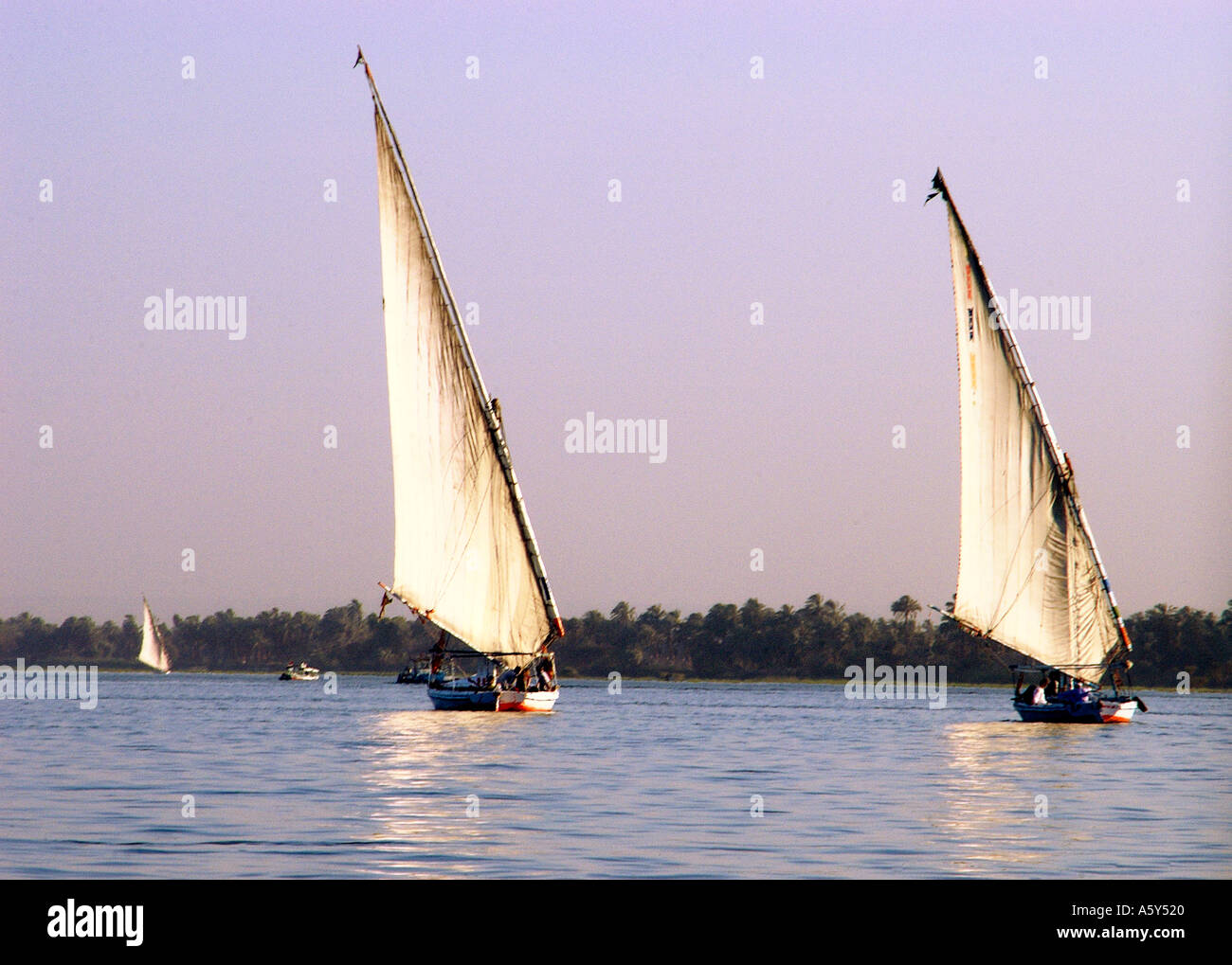 Egypt Felouka boats on the Nile at Luxor Stock Photo
