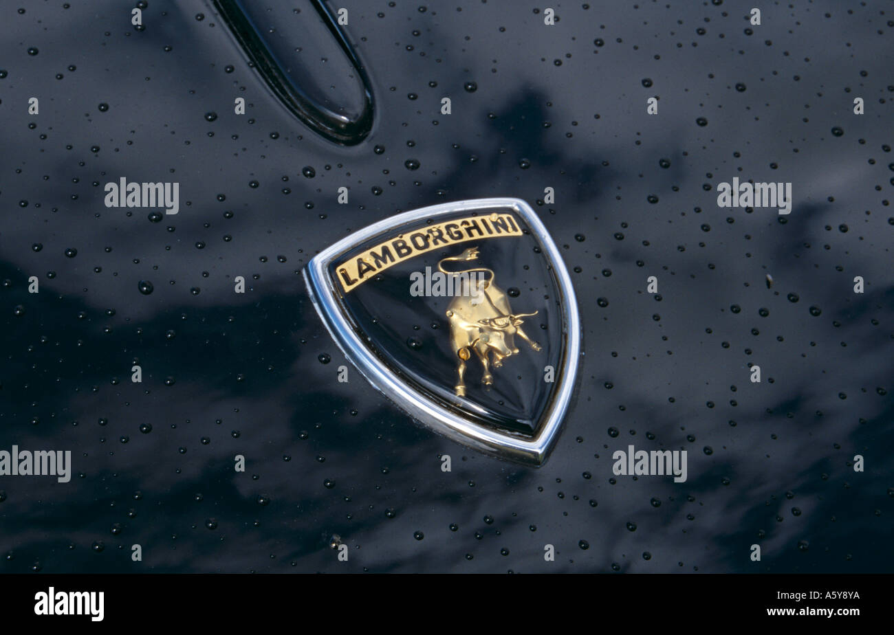 LAMBORGHINI DIABLO MARCELLO GANDINI SIDE EMBLEM BADGE ORIGINAL