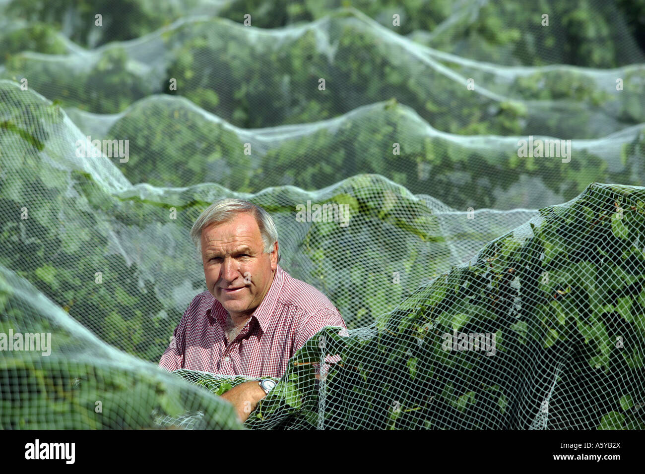New Zealand wine producer Hermann Seifried at his winery in Nelson