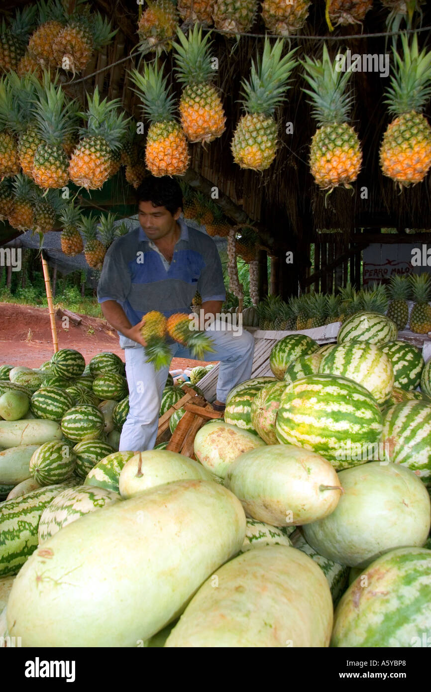 Melons and pineapple at a produce stand in rural Argentina Stock Photo