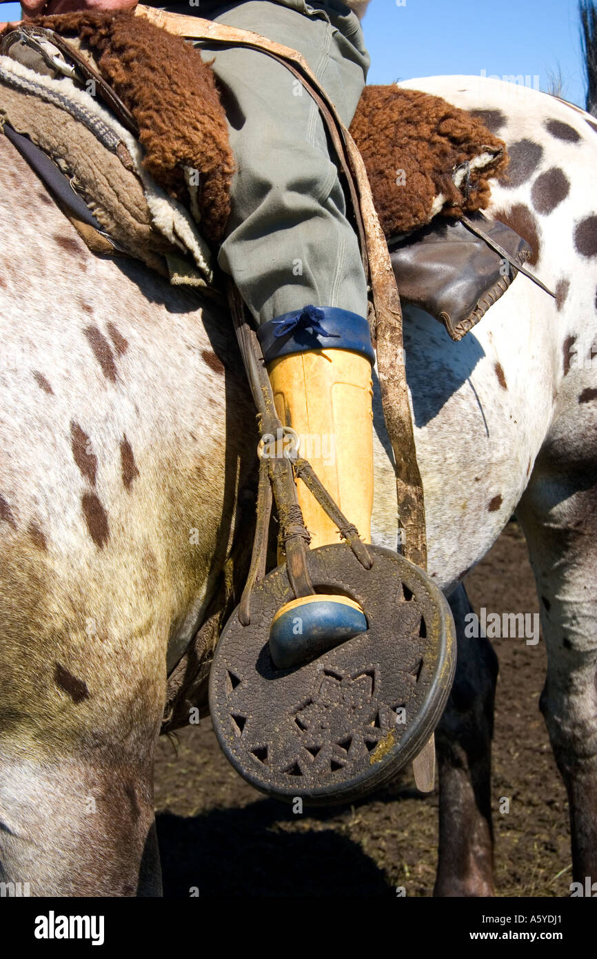 Rio Grande do Sul saddle gaucho crioulo horse fleece brown brownish lasso  rs rio grande do sul travel brazil animal mammal Stock Photo - Alamy