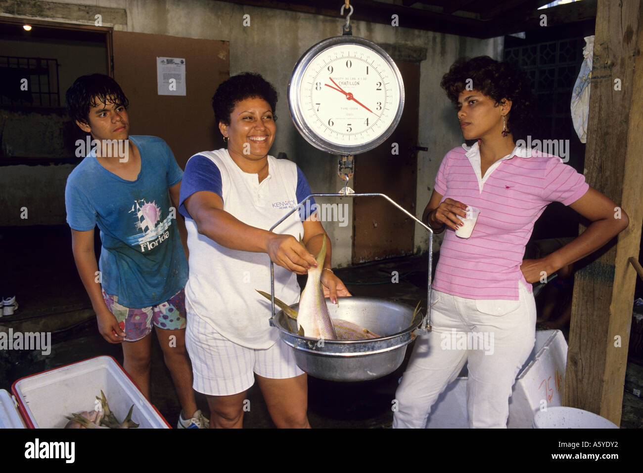 Weighing fish on scales at a fish market in Puerto Rico Stock Photo Alamy