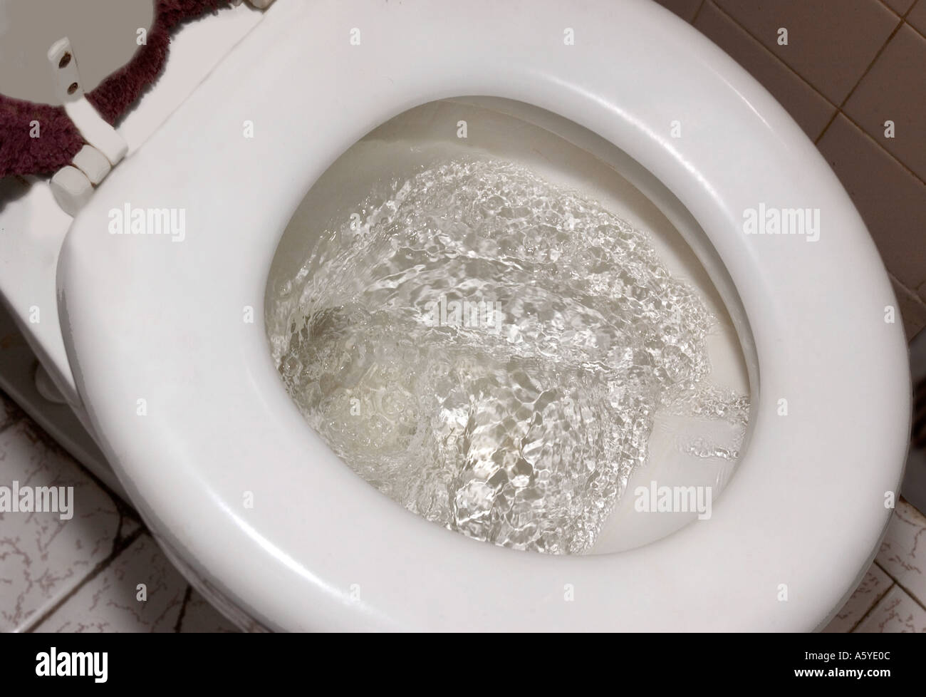 Toilet flushing. USA Stock Photo Alamy