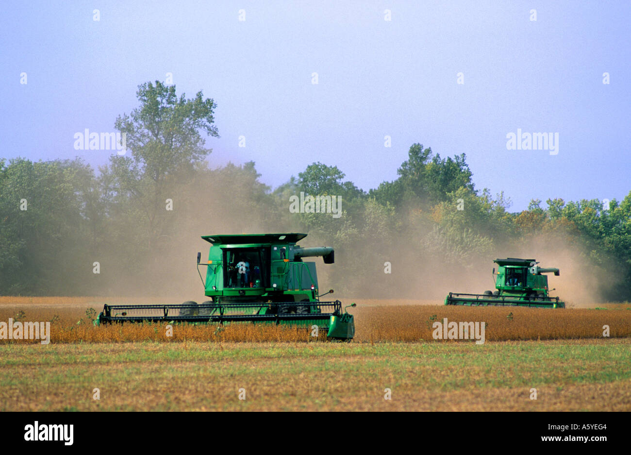 Soybean harvest in Indiana Stock Photo Alamy