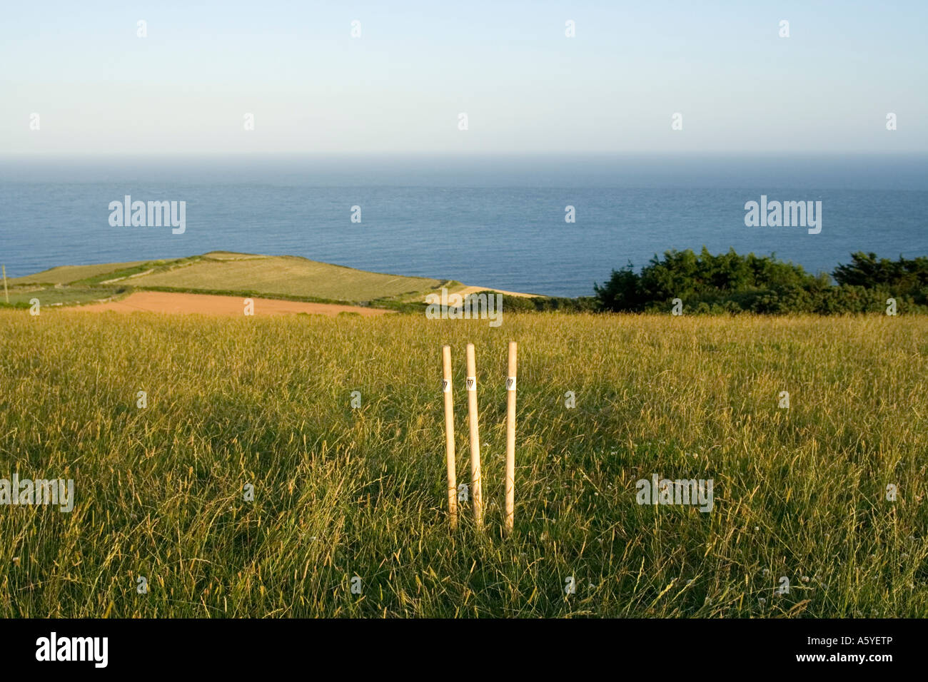 Cricket stumps in field overlooking the sea Stock Photo