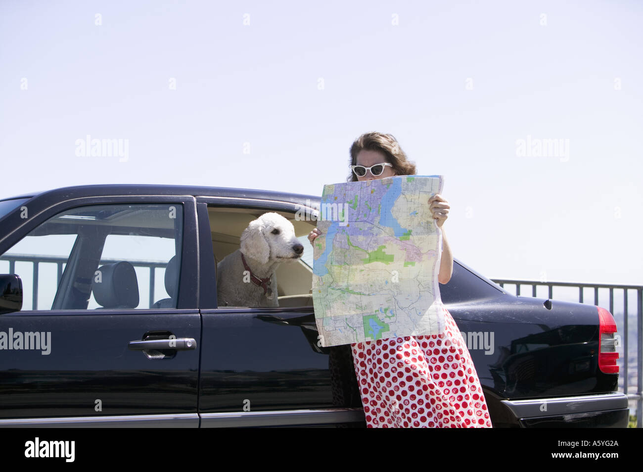 Woman with dog reading map Stock Photo