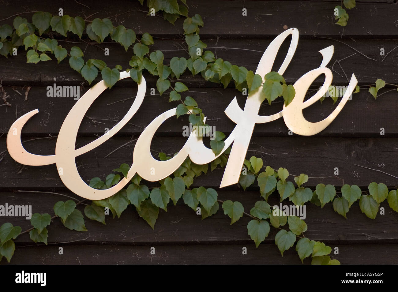 sign for a café cafe on a wall with clamberer twiner Stock Photo