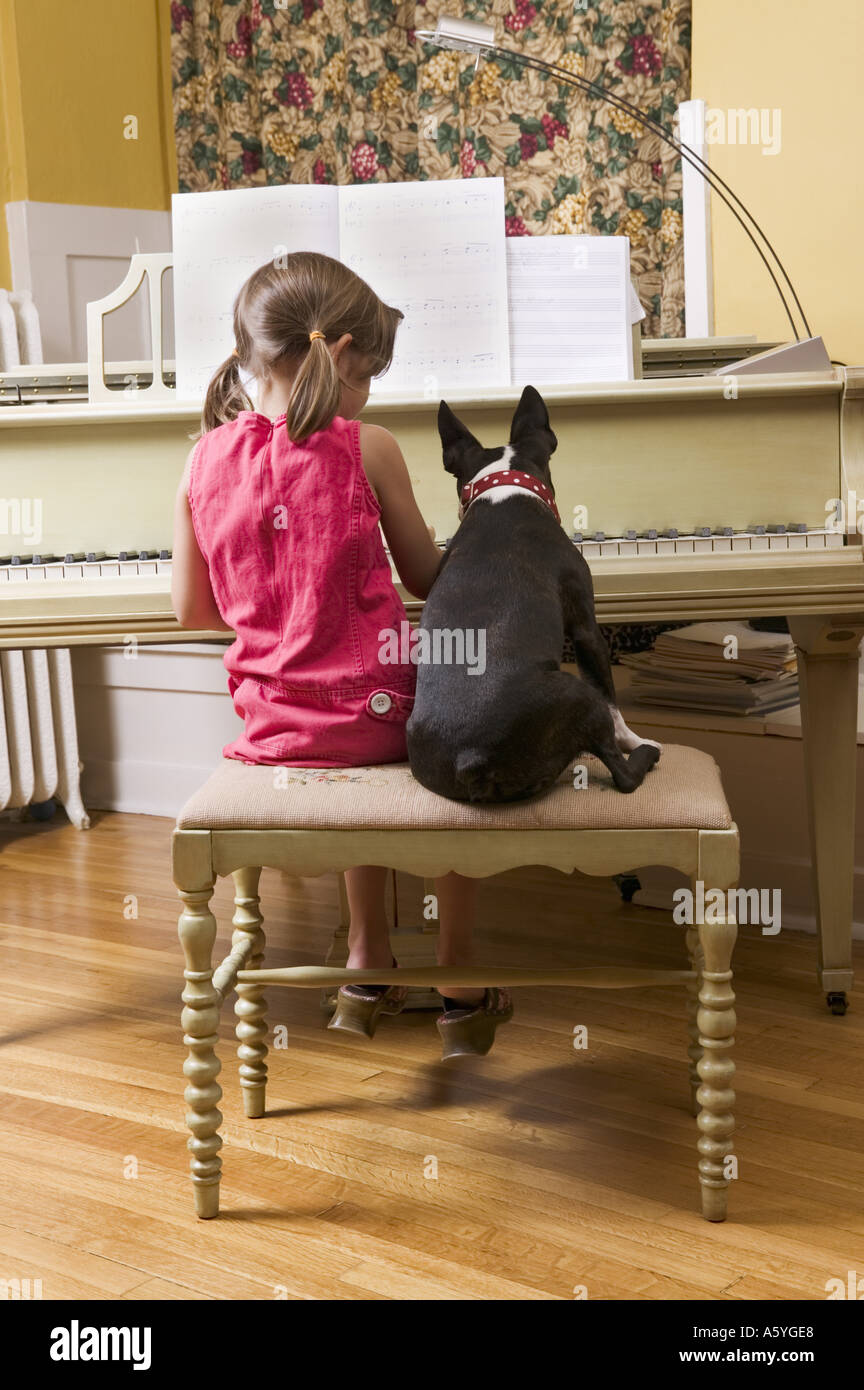 Dog watching girl play piano Stock Photo
