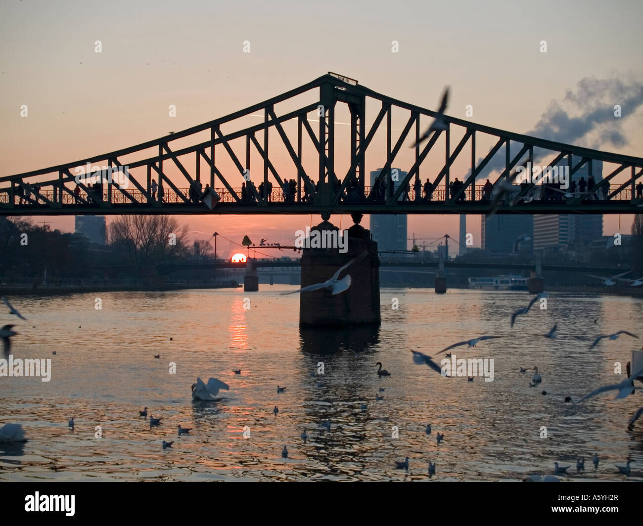 the pedestrian bridge Eiserner Steg over the river Main in evening light by sunset in Frankfurt am Main Hesse Germany Stock Photo
