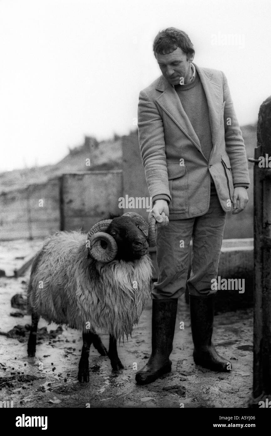 Ireland Ram Eire West Coast Stock Photo Alamy