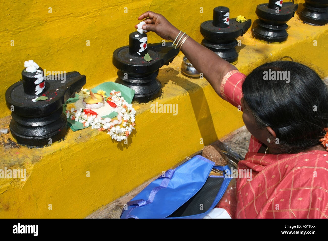 Lady Decorating Lingam maha shivaratri , Koti linga temple near Kolar in South India for the Hindu festival of Maha shivratri Stock Photo