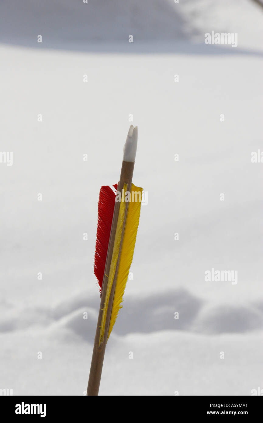 end of an arrow Stock Photo Alamy