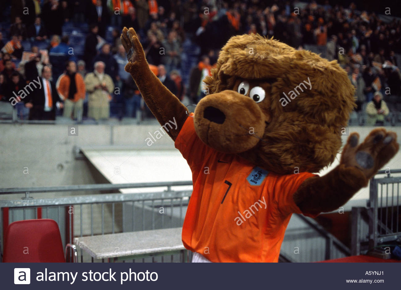 Dutch National Football Team Stock Photos & Dutch National Football