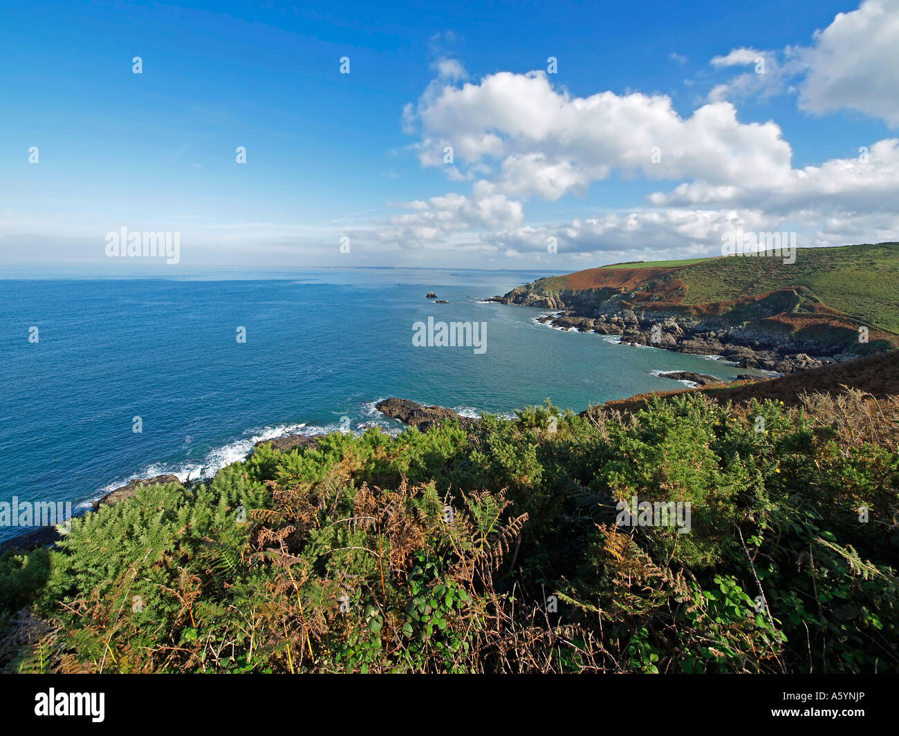 landscape at the coast between Plougasnou and Locquirec in Finistere ...