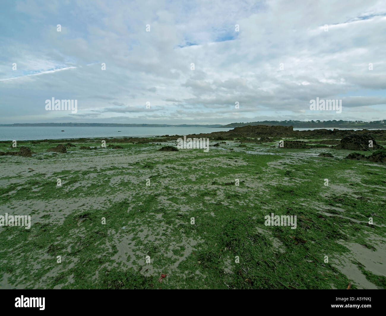landscape stony strand at the coast in Locquirec in Finistere Brittany ...