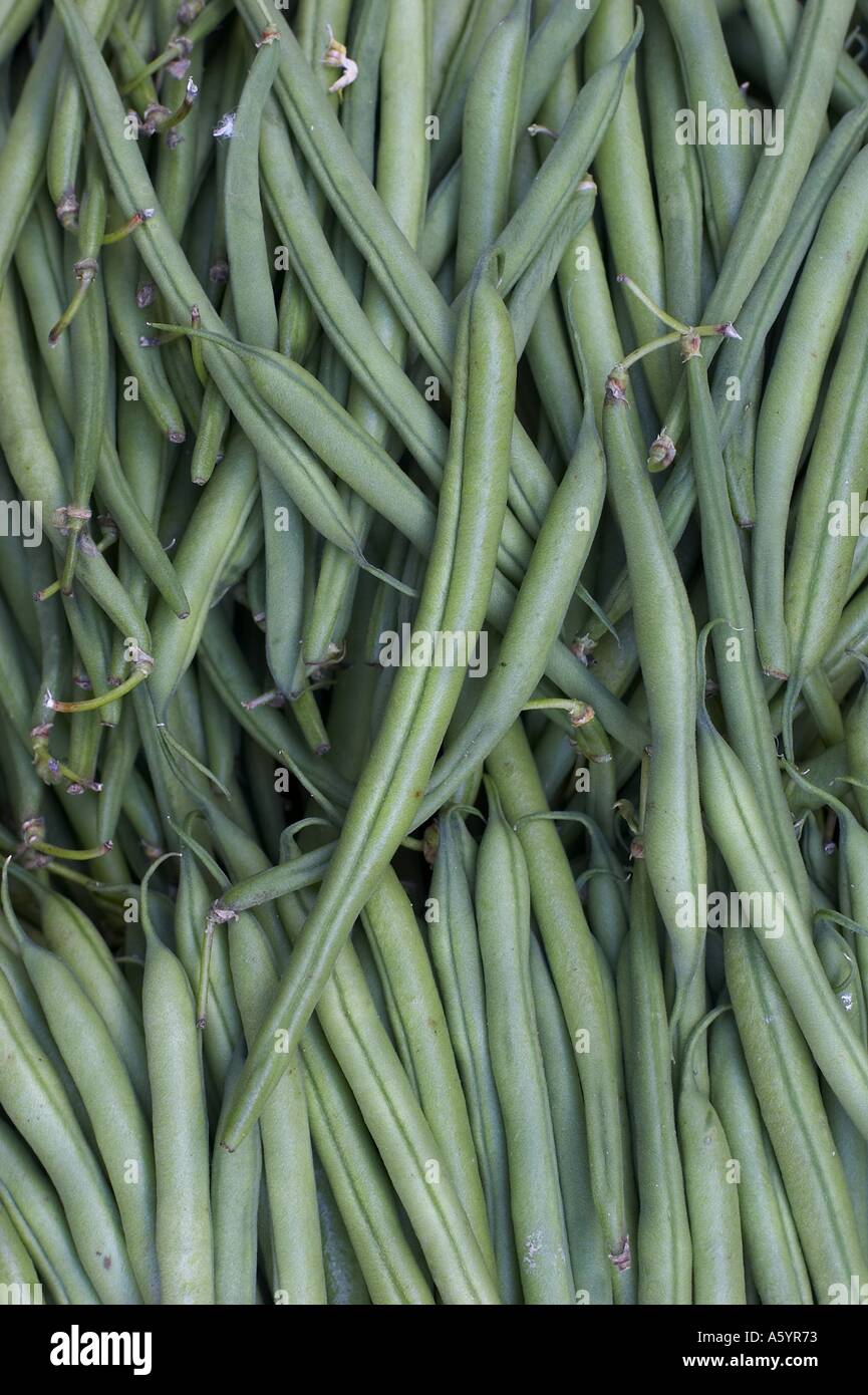 Bean pole hi-res stock photography and images - Alamy