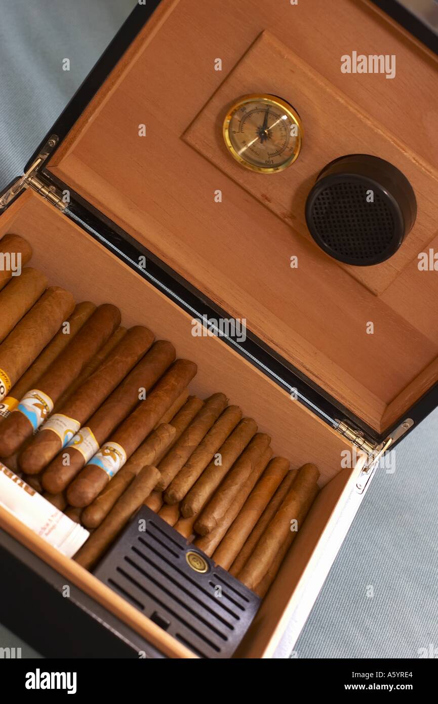 humidor with cigars Stock Photo Alamy