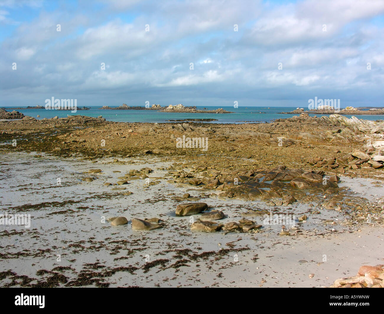 stony coast in Santec near by Roscoff in Finistere Brittany France ...